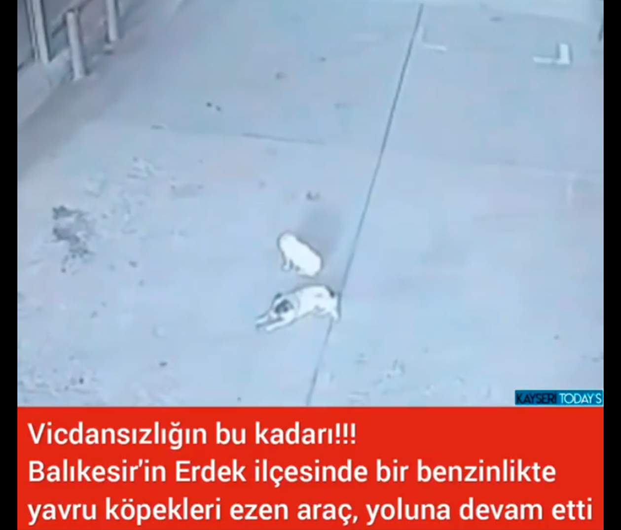 Vicdansızlığın bu kadarı!!