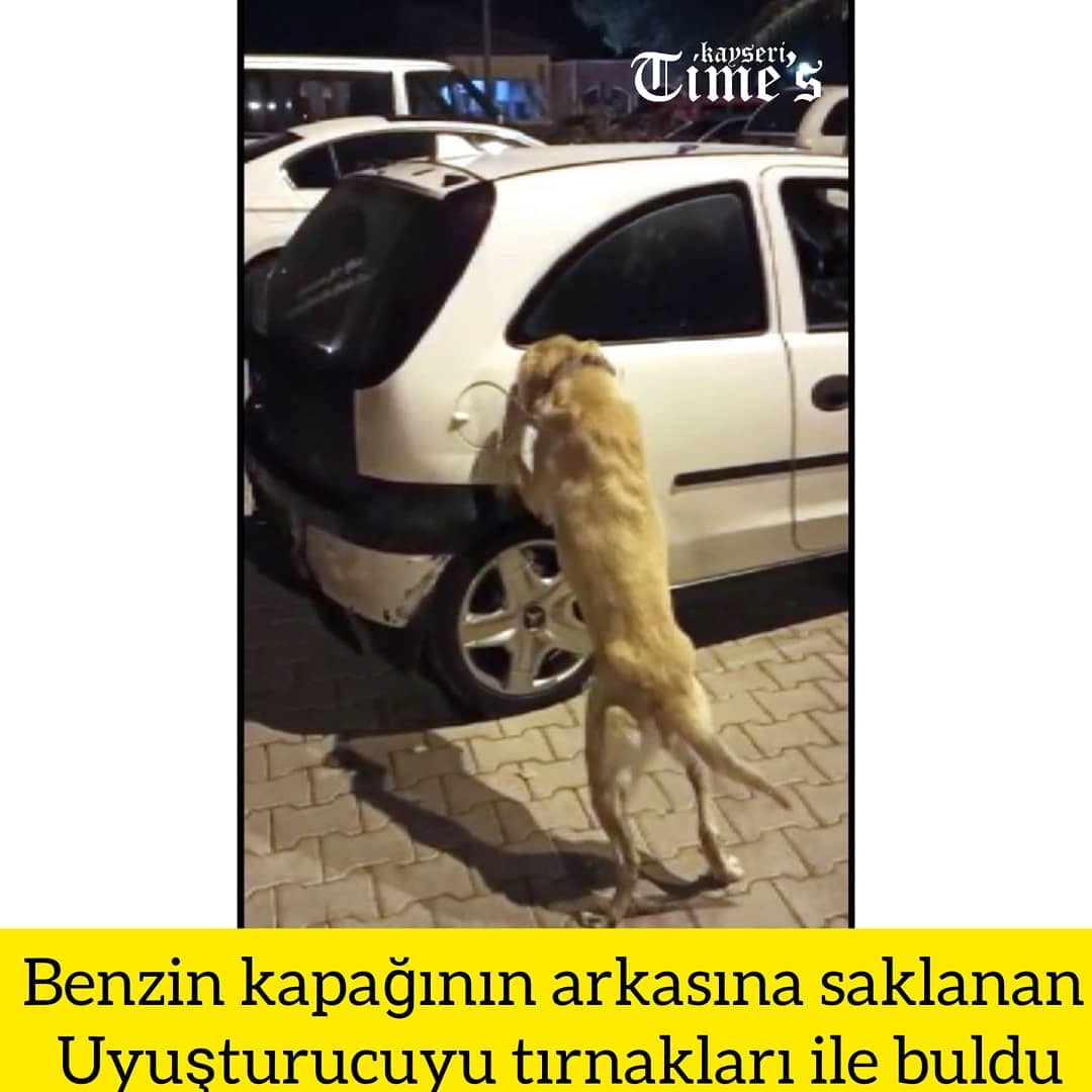 Benzin kapağının arkasına saklanan uyuşturucuyu tırnakları ile buldu