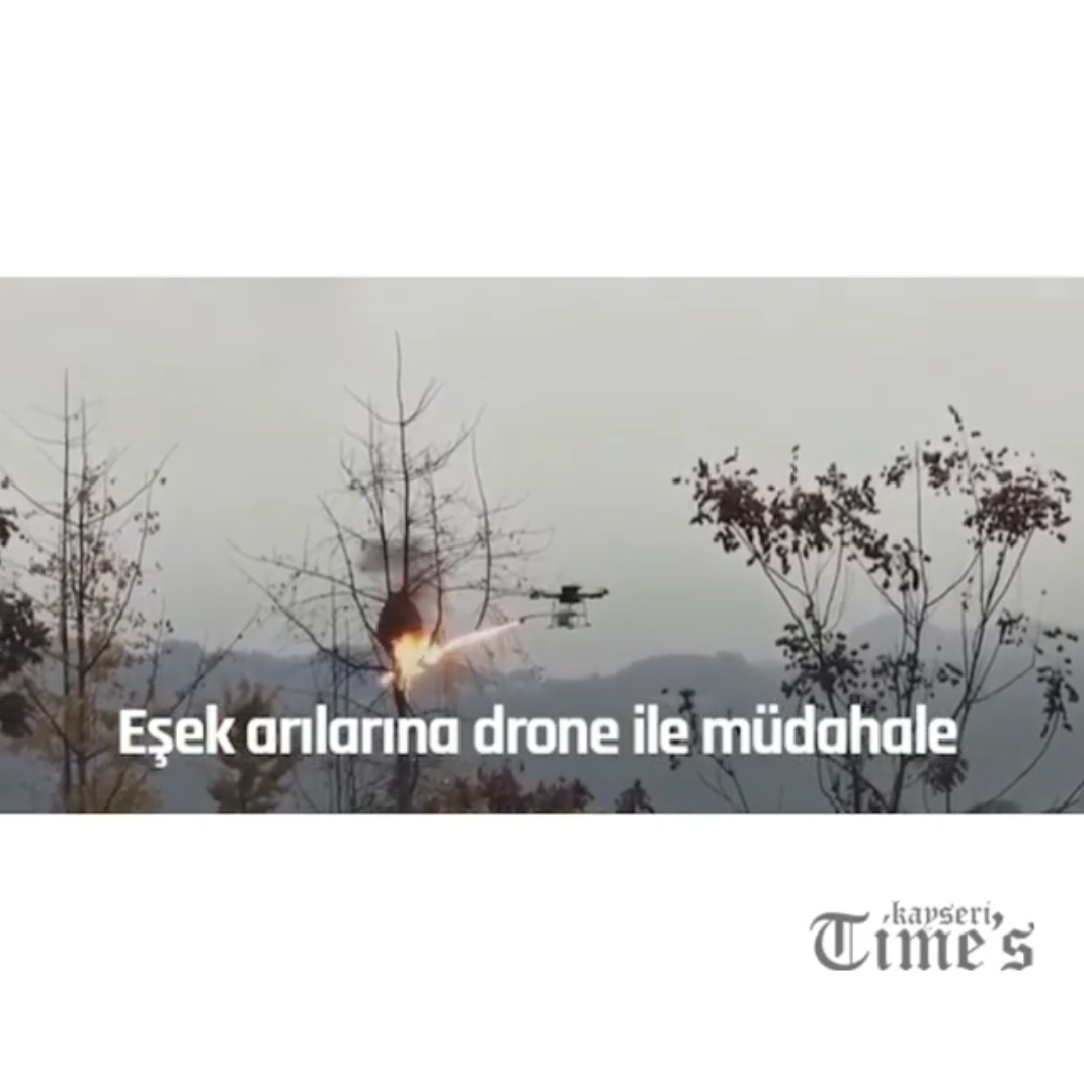 Eşşek arılarına dron ile müdahale