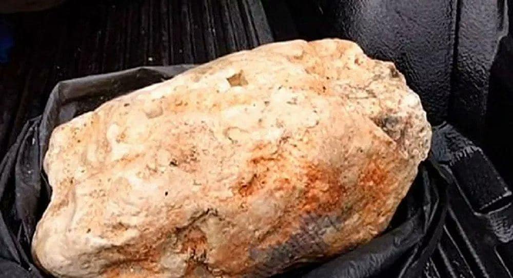 Tayland'da bir balıkçı dünyanın en büyüğü olabilecek ambergris, diğer adıyla balina kusmuğu buldu.