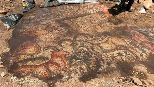 1600 yıl öncesine tarihlendirilen Roma dönemine ait bir mozaikten görüntü