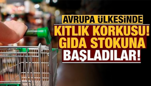 Fransa'da halk, yeni tip koronavirüs salgınının 2021 boyunca süreceği endişesi