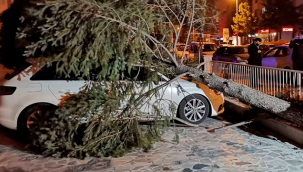 Kayseri'de, yer yer saatteki hızı 60-90 km hıza ulaşan şiddetli fırtına hasara yol açmaya devam ediyor.