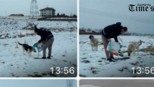 Kayseri Emniyet Müdürlüğü ekipleri doğaya 45 kilo mama bıraktı