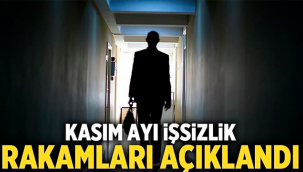 Türkiye'de işsizlik oranı