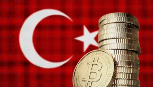 Bakan Elvan: Merkez Bankası, TL karşılığı dijital para çıkaracağız dedi. 'kripto değil'