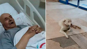 Köpeği tedavi gördüğü hastanenin giriş kapısı önünde taburcu olana kadar kendisini bekledi