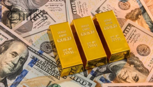 Türkiye, salgın döneminde kurdaki değer kaybıyla mücadele eden ve gelişmekte olan ülkeler arasında döviz rezervleri en çok azalan ülke oldu