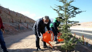 Büyükkılıç, içerisinde pek çok türden fidanın yetiştirileceği fidanlıkla şehrin ağaç ihtiyacının hızlı, etkin ve daha az maliyetle karşılanacağını kaydetti.