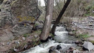 Erciyes'in karı eriyince Kırlangıç Vadisi coştu