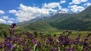 Erciyes Kayak Merkezinde yaz mevsiminin gelmesiyle birlikte doğada biriken atıklar toplanacak.
