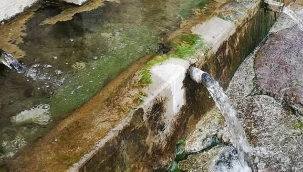 Toroslar'dan gelen doğal kaynak suyu boşa akıyor.