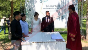 Normalleşme ile birlikte günlük kıyılan nikah sayıları arttı