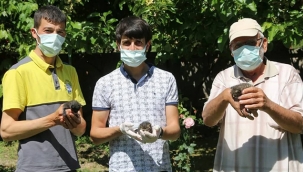 Yahyalı ilçesi’nde annesi tarafından terk edilen yavru kedilere belediye ekipleri sahip çıktı