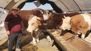 110 bin metrekarelik alana kurulan ve içerisinde kurulacak 250 çadır ile Türkiye'nin en büyük kurban pazarlarından Kocasinan Kurban Pazarında bayram telaşı başladı.