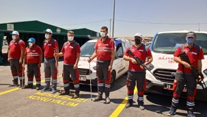 Kocasinan Belediyesi tarafından oluşturulan hayvan yakalama timi, kurban pazarında ellerindeki enjektörlü havalı tüfek ile nöbet tutuyor