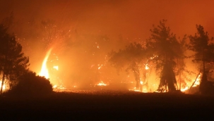 Manavgat’ta yangını çıkardıkları iddia edilen şüpheli kişiler yakalandı. Linç girişimini jandarma engelledi.