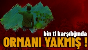 1000 TL'ye Benzin Döke Döke Yaktım