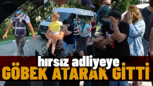 Hırsızlık yaparak Türkiye'yi dolaşan kadınlar yakayı ele verdi! Biri adliyeye giderken göbek attı