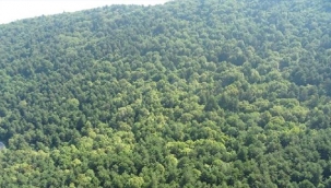 Kayseri'de tüm ormanlık sahalara yangınların önlenmesi amacıyla yetkililer haricinde giriş yasaklandı.