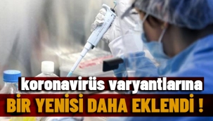 Koronavirüs varyantlarına bir yenisi daha eklendi! Güney Afrika'da ortaya çıkan C.1.2 varyantı çok daha hızlı yayılıyor
