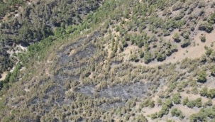 Yahyalı ilçesindeki Aladağlar Milli Parkı bölgesinde, çarşamba günü çıkan orman yangını, ekiplerin mücadelesi sonucu bugün öğle saatlerinde kontrol altına alındı.