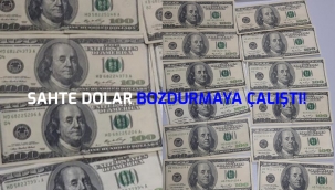 SAHTE DOLAR BOZDURMAK!