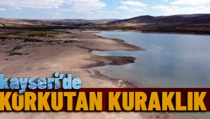 SARIOĞLAN BARAJI'NDA SU SEVİYESİ YÜZDE 20'YE DÜŞTÜ; BALIK ÖLÜMLERİ BAŞLADI