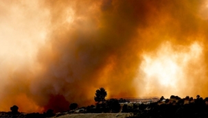 BİRLEŞİK ARAP EMİRLİKLERİN'DEN TÜRKİYE'YE DOĞA OLAYLARI YÜZÜNDEN ETKİLENEN YERLERE PARA DESTEĞİ!