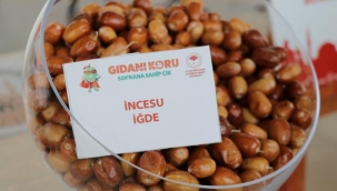 Kayseri 16.Tarım, Hayvancılık, Gıda Fuarı ve Türk Dünyası Akraba Toplulukları Tarım Fuarı açıldı.