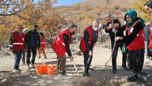 KIZILAY HAFTASINDA ALİ DAĞINA YÜZLERCE MEYVE AĞACI