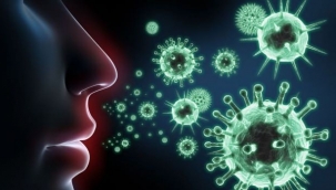 Korona önlemlerine uymayan şehirlere Aralık'ta sokağa çıkma, kafe ve restoran yasağı gelebilir!