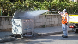 TALAS'TA HAŞERATA ERKEN ÖNLEM