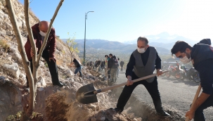 YAZ DEMEDEN KIŞ DEMEDEN AĞAÇ DİKELİM!