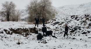 Boş arazide erkek cesedi bulundu