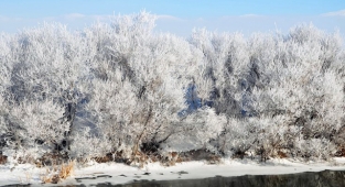 Son Dakika!Göle buz kesti: - 30