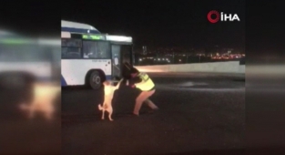 Ankara'da otobüs şoförünün köpekle yaşadığı eğlenceli anlar kamerada!