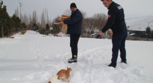 BÜNYAN BELEDİYESİ ZABITA EKİPLERİMİZ İLÇEMİZİN SESSİZ SAKİNLERİNİ KAR YAĞIŞINDA YALNIZ BIRAKMADI