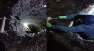Defineciler kazdıkları kuyuda böyle yakalandı