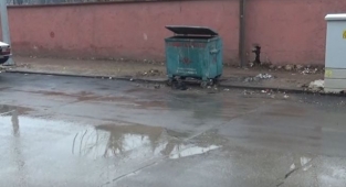 Gaziantep'te dehşet saçan pitbull güvenlik kamerasında