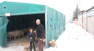 Kayseri Kocasinan Belediyesi, 18 büyükbaş ve 60 küçükbaş hayvanı son anda kurtardı!