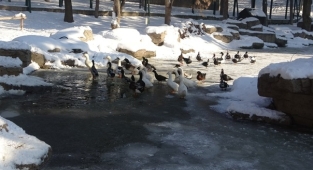 Kayseri resmen buz tuttu!