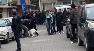 Malatya’daki pitbullu saldırı anı kamerada