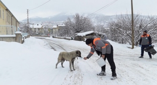 MELİKGAZİ SOĞUK KIŞ GÜNLERİNDE SOKAK HAYVANLARINI UNUTMADI