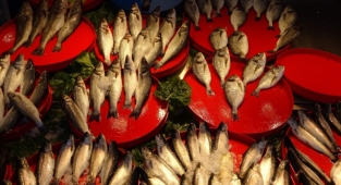 Soğuk ve karlı hava balık tezgâhlarını etkiledi!