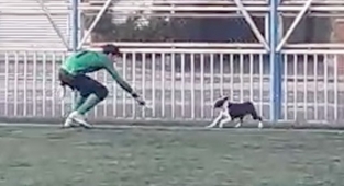 Yeşil sahada gülümseten görüntüler!