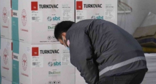 Bakan Koca duyurmuştu, yeni seri TURKOVAC aşılarının dağıtımı başladı!