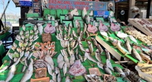 Balık tezgahlarında çeşit çok, balık az!