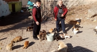 Diyarbakır'da sokak hayvanları için dernek kuruldu!