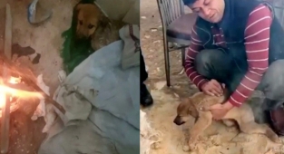 İnsanlık ölmemiş dedirten davranış!